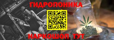 бошки Кингисепп