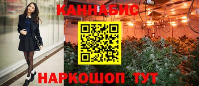 бошки Кингисепп