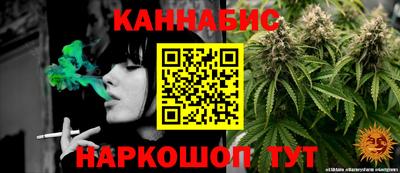 бошки Кингисепп