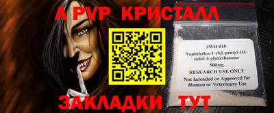 бошки Кингисепп