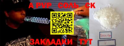 бошки Кингисепп