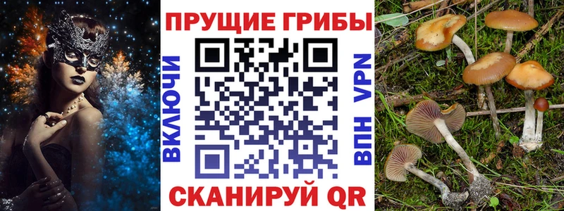 мориарти какой сайт Кубинка Псилоцибиновые грибы ЛСД