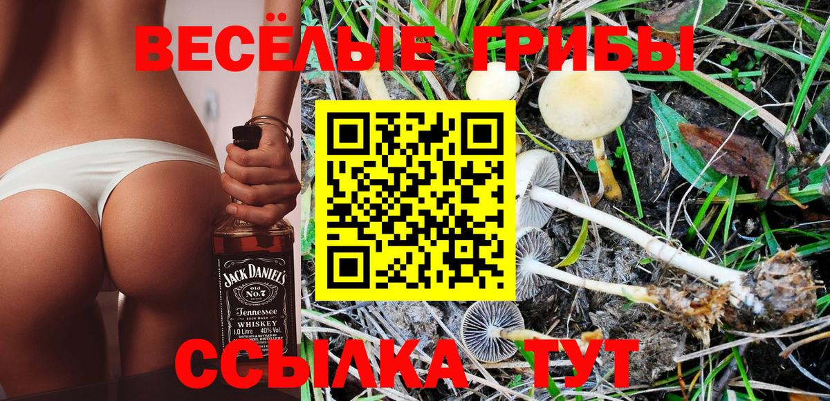 цена наркотик  Псилоцибиновые грибы Magic Shrooms  Вход с VPN  Кубинка 